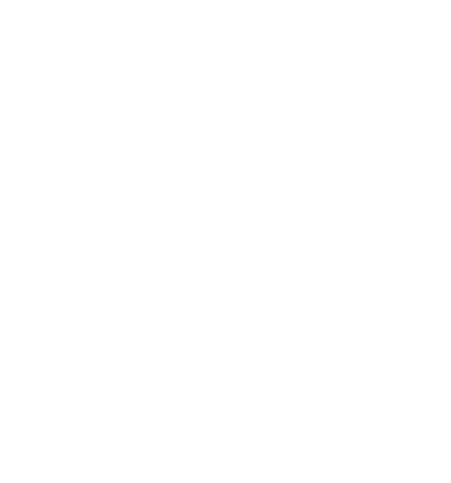 logo light